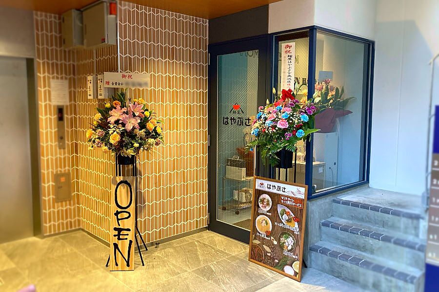 【下北沢】異色の職人が作る進化系ラーメン「麺屋はやぶさ 下北沢店」オープン！