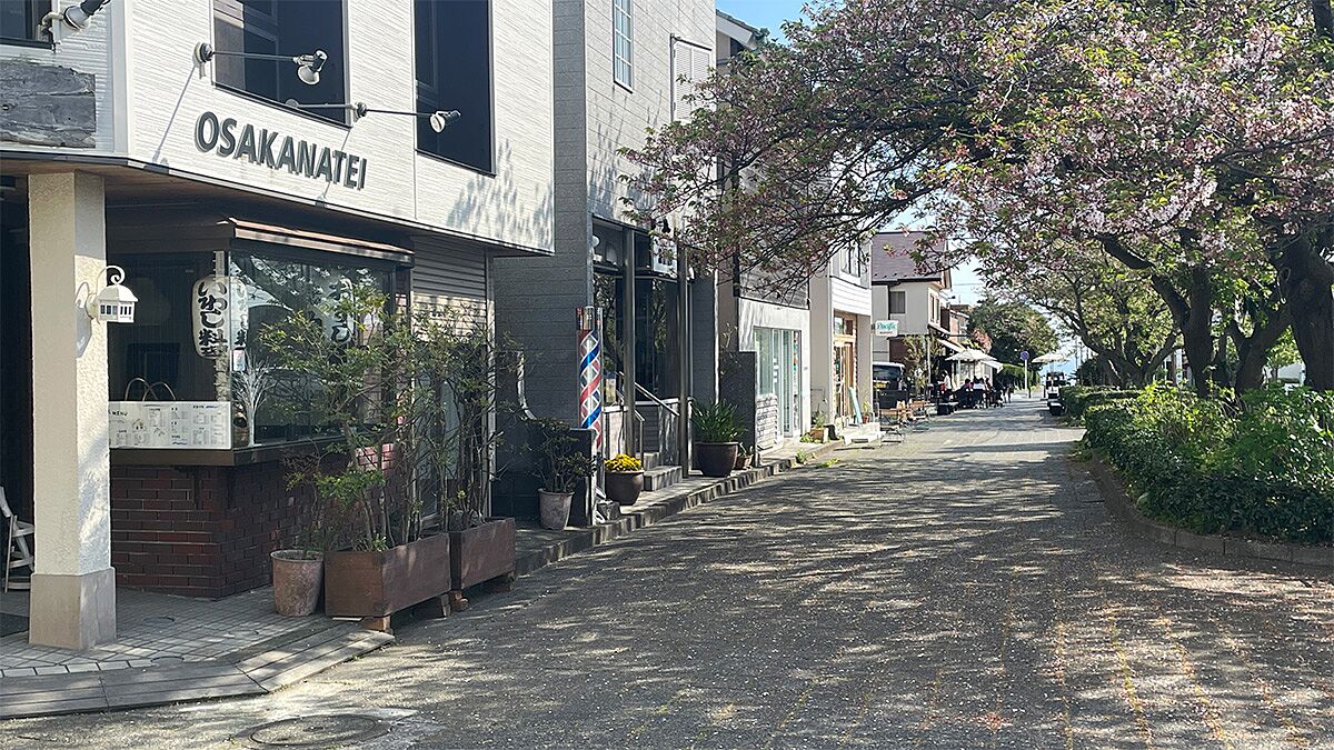 桜のプロムナードにある七里ガ浜商店街とランチを楽しむ人たち